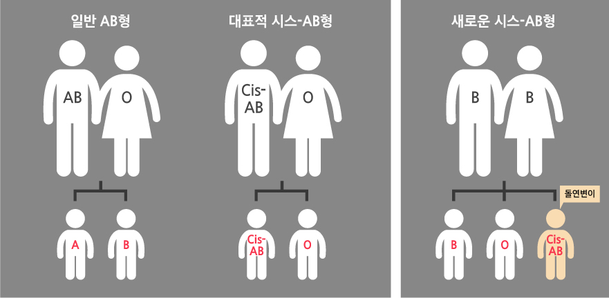 B형 부모 사이에서 AB형 자녀 발견