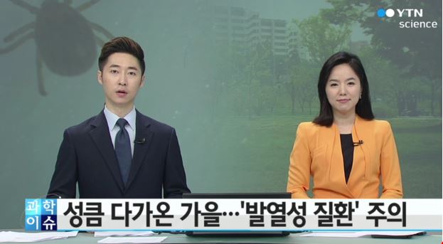 신증후성 출혈열 증상
 출처:/YTN 화면 캡쳐