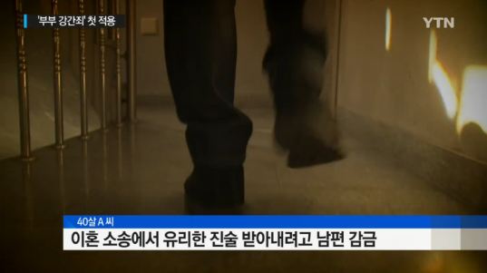 남편 성폭행한 아내 구속
 출처:/YTN 뉴스 캡처
 