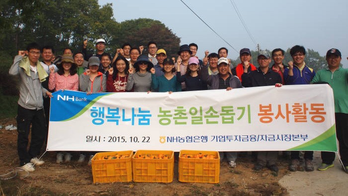 NH농협은행 기업투자금융본부 및 자금시장본부 직원들은 22일 충남 예산군 광시면에서 농촌 일손돕기 봉사 활동을 펼쳤다.