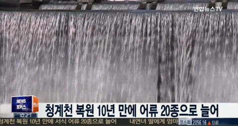 청계천 복원 10년
 출처:/연합뉴스TV 뉴스 캡처
 
 