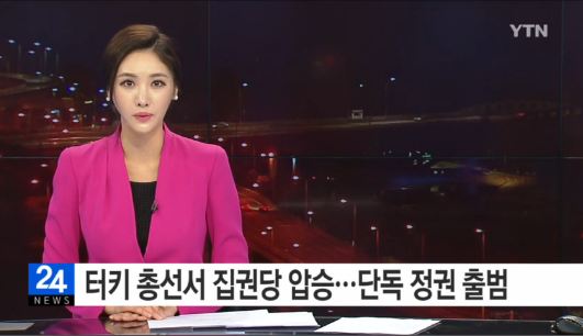 터키 5개월 만에 단독 정권 출범
 출처:/YTN 뉴스 캡처
 