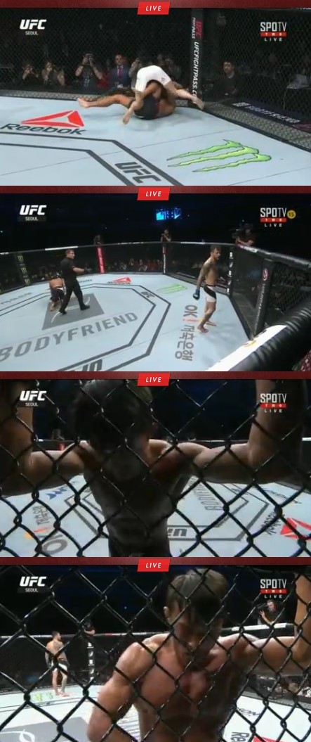 UFC 추성훈
 출처:/경기영상 캡쳐