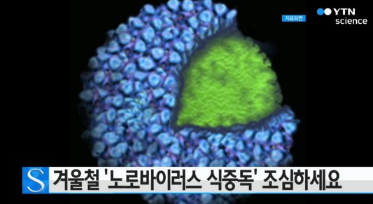 노로바이러스 증상
  출처:/ YTN 캡처