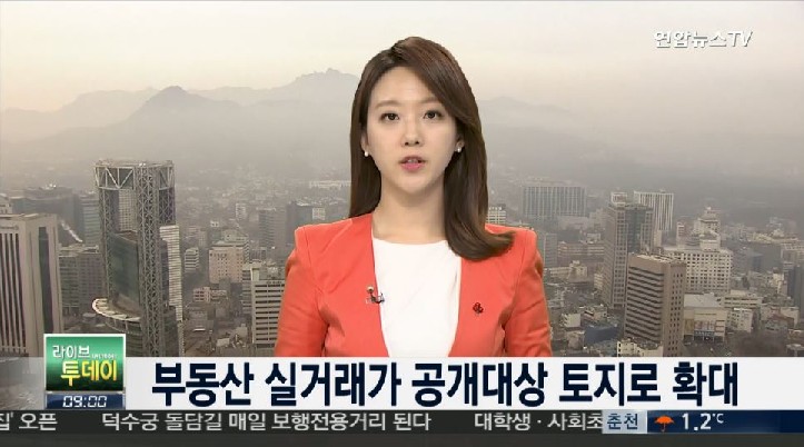 토지 실거래가도 공개
 출처:/연합뉴스TV 화면 캡처
 
 