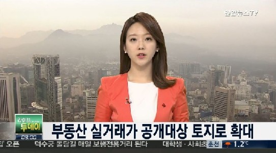 토지 실거래가도 공개
 출처:/연합뉴스TV 화면 캡처
 
 
 
 