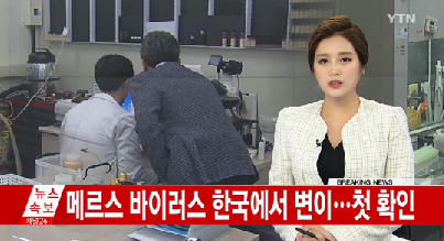 메르스 바이러스 한국에서 변이
 출처:/YTN 뉴스 캡처
 
 
 