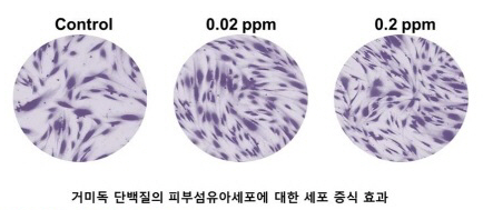 넥스젠바이오텍, 거미독 단백질 신소재 국내 최초 개발