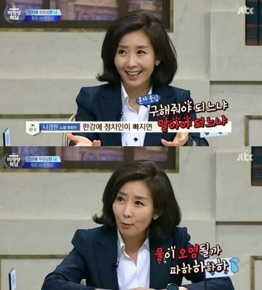 비정상회담 나경원
 출처:/JTBC '비정상회담' 화면 캡처
 
 