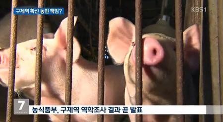 구제역 의심 신고
 출처:/ KBS1 캡처