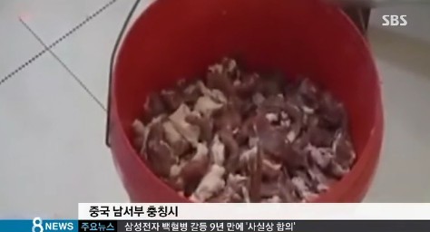 야광 돼지고기
 출처:/ SBS 캡처