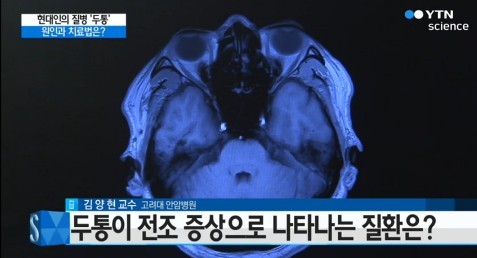 두통의 원인
 출처:/ YTN 캡처