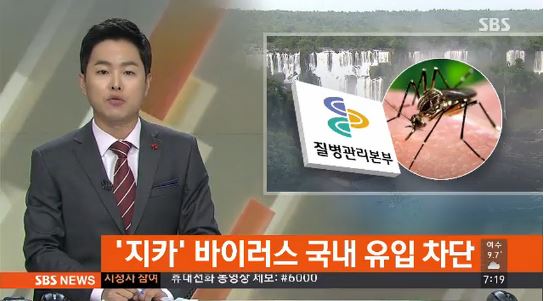 지카 바이러스
 출처:/SBS 뉴스 캡처
 
 