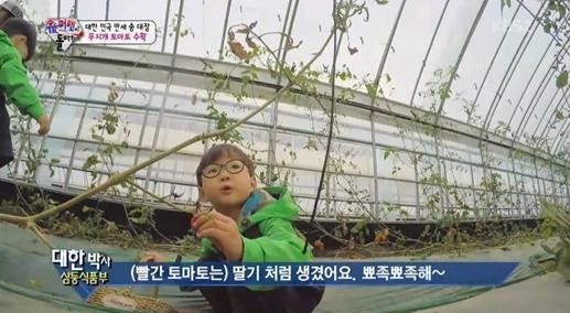 세계인이 가장 많이 먹는 채소
 출처:/KBS2 '슈퍼맨이 돌아왔다' 화면 캡처
 
 