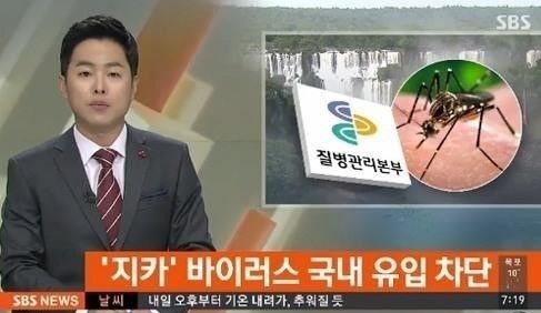 소두증 바이러스란
 출처:/ SBS 캡처