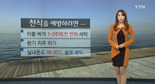 미세먼지 예방법
 출처:/ YTN 캡처