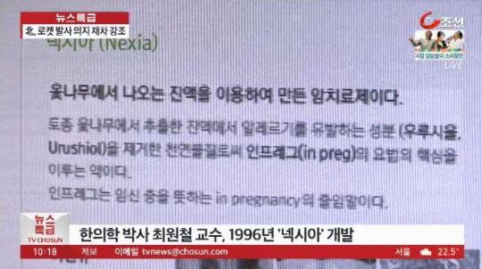 넥시아
 출처:/TV조선 화면 캡처
 
 