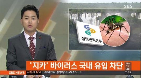 소두증 바이러스 / 사진=SBS 뉴스화면 캡처 