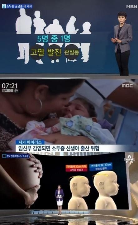 지카바이러스 인도네시아서 발견
 출처:/뉴스캡쳐