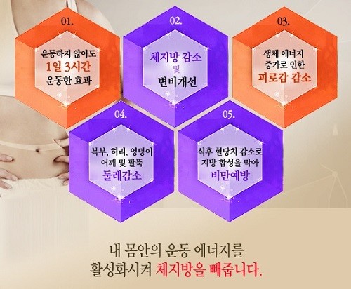 체지방감소에 도움을 줄 수 있는 스마트다이어트 주목!