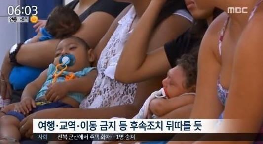 지카 바이러스 비상
출처:/ MBC 뉴스 캡처