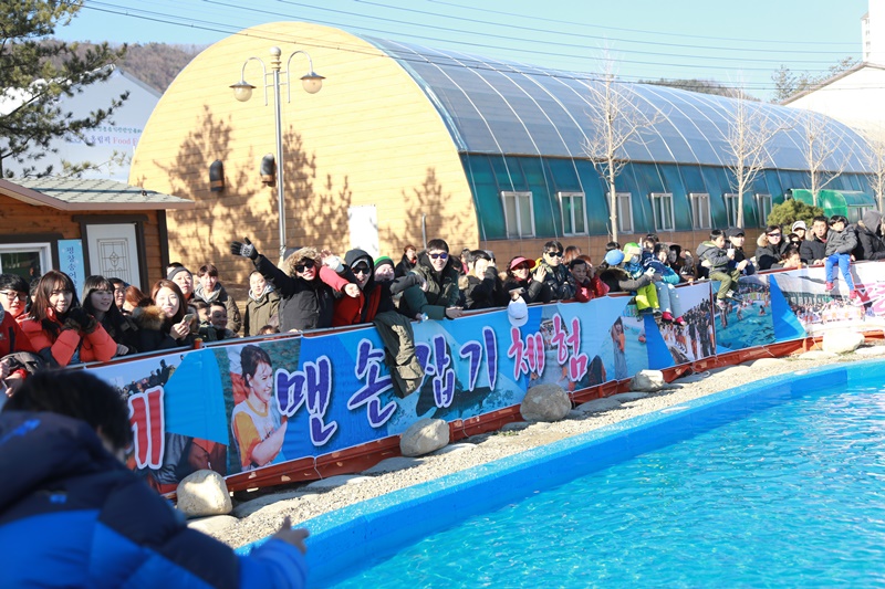 평창송어축제, ‘평창 동계올림픽’ 연계 이벤트로 관광특수 노린다 