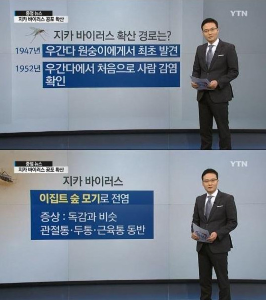 지카바이러스 감염경로
 출처:/ YTN 뉴스 캡쳐