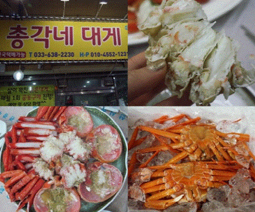 여성이라면 꼭 가볼만한곳 ‘속초 중앙시장 맛집으로 통하는 총각네대게’