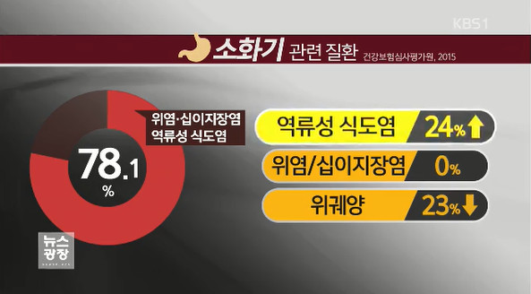 역류성 식도염 원인
 출처:/ KBS 뉴스 캡쳐