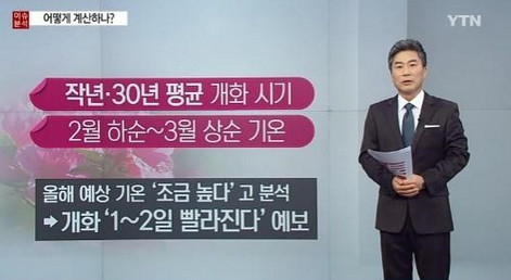 봄꽃 개화 시기
 출처:/ YTN 뉴스 캡쳐