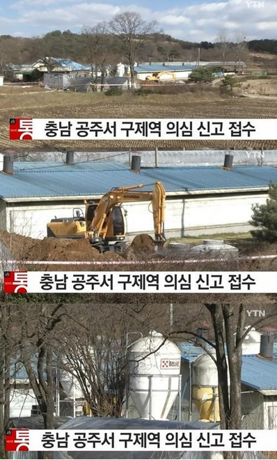 충남 구제역 양성반응 최종 확인
 출처:/ YTN 뉴스 캡쳐