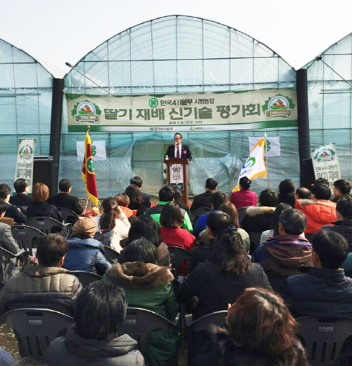 (주)에코파트너즈와 한국 4-H 운동본부, 충남 논산에서 딸기재배 신기술 평가 ‘눈길’