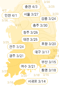 봄꽃 관찰시기
 출처:/포털사이트 캡쳐