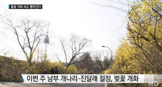 아름다운 서울길
 출처:/ YTN 캡처(기사와 무관)