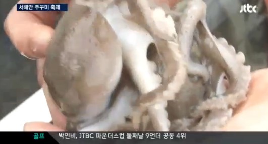 쭈꾸미 손질법
 출처:/ JTBC 캡처(기사와 무관)