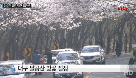 날씨와 관련된 속담 출처:/YTN 뉴스 캡처