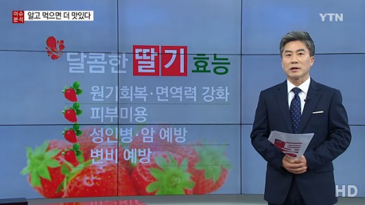 딸기 냉동보관방법
 출처:/ YTN 캡처