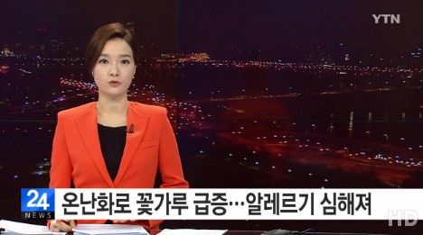 꽃가루 알레르기 예방법
 출처:/ YTN 캡처