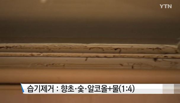 곰팡이 알코올
 출처:/YTN 뉴스 캡쳐