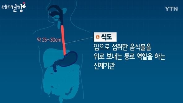 출처:/YTN 캡쳐