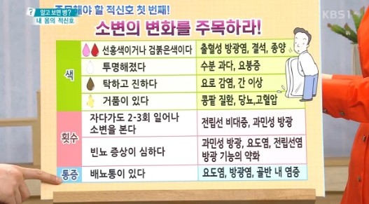 출처:/ KBS1 '무엇이든 물어보세요' 캡처(기사와 무관)