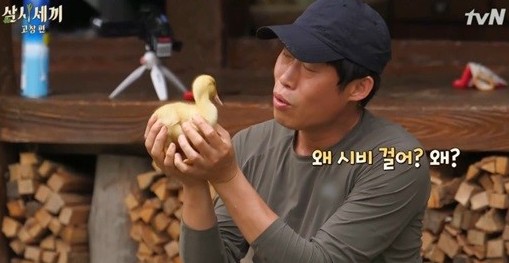 출처:/ tvN '삼시세끼-고창편' 캡처