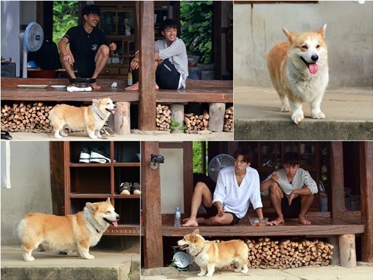 출처:/ tvN '삼시세끼-고창편' 캡처