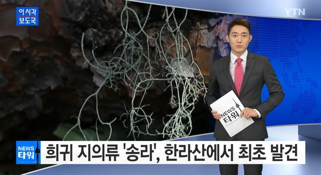 출처:/ YTN 캡처