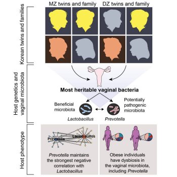 유전적 요인에 따라 결정되는 질 내 미생물과 여성건강의 연관성