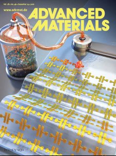 본연구의 내용이 게재된 Advanced Material Inside Cover Story 사진