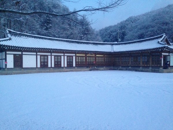 인순이 해밀학교 설립 "부모님에 대한 원망 해결 방법 알려주고 싶었다"