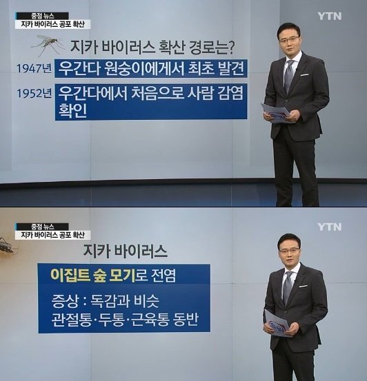 사진=YTN 캡처