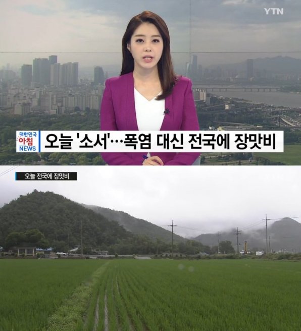 사진=YTN캡쳐
