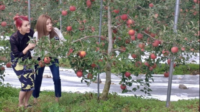 '도깨비불' 첫 촬영 현장. 사진=코리아엔터테인먼트 제공